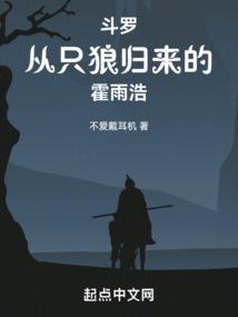 霍雨浩回到斗罗大陆的小说